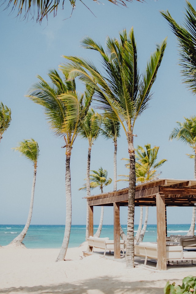 kelly-sikkema-ddw-kdap7du-unsplash