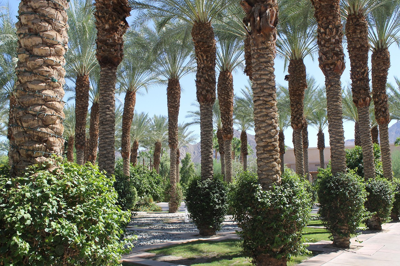 ✈ Marrakech: volo diretto A/R + riad 4 stelle prezzo a persona - immagine 7